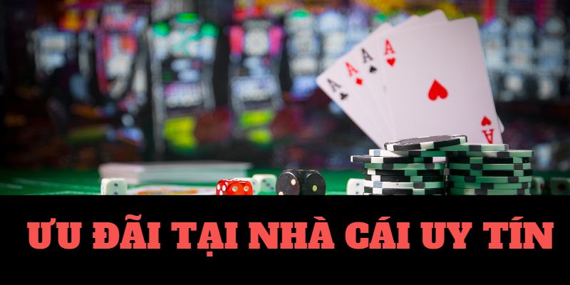 Kết quả xổ số Đồng Nai 33Win